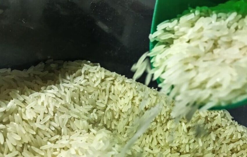  Governo arremata 263 mil toneladas de arroz após Justiça derrubar liminar do Novo