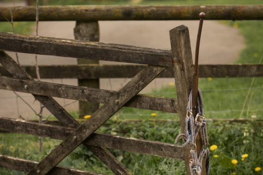  Em uma tacada só, grupo capixaba compra quatro fazendas de um forte empresário de Campos