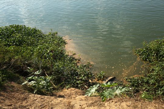  Diretor do Comitê Baixo Paraíba afirma que solução para água pode ser resolvida com boa vontade do Estado