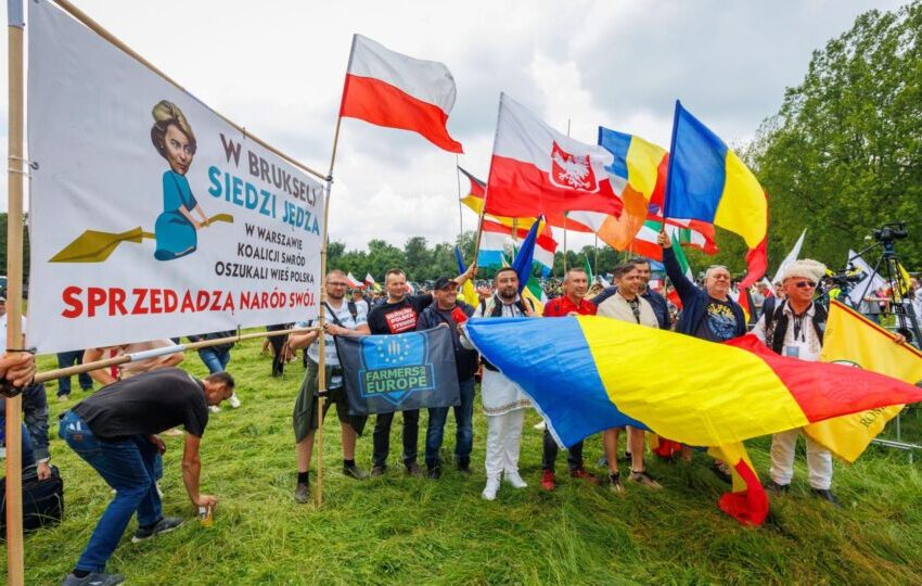  Setor agrícola da UE lamenta acordo com Mercosul e anuncia protestos para segunda