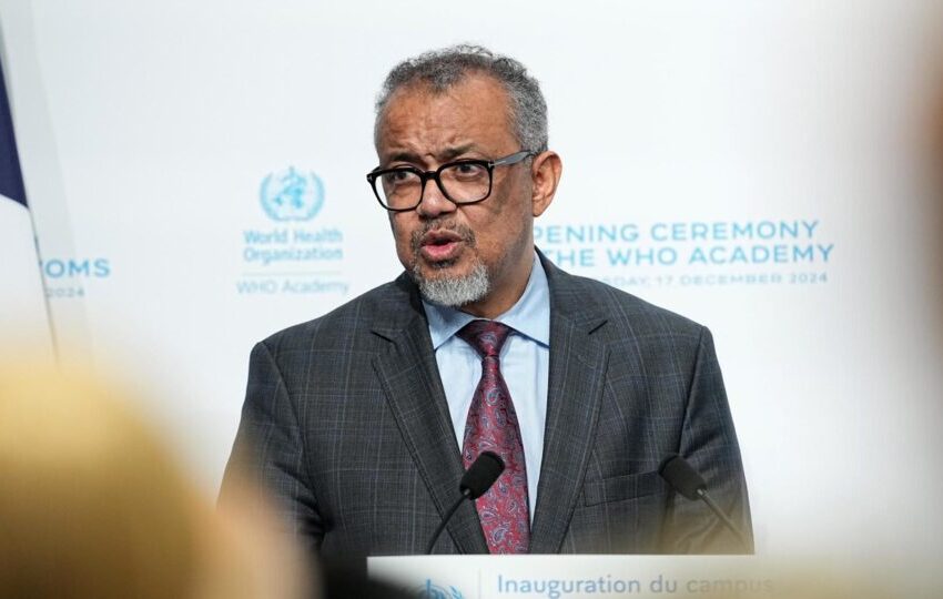  OMS pede mais transparência à China sobre as origens da Covid-19