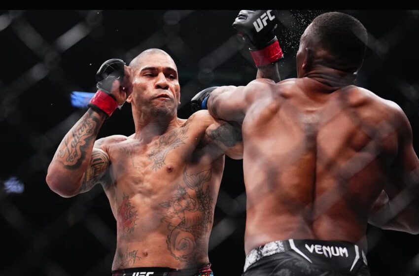  Brutal! Confira os cinco nocautes mais impressionantes no UFC em 2024