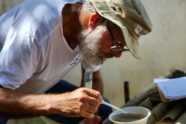  Levantamento de Índice Rápido do Aedes aegypti na primeira semana de janeiro