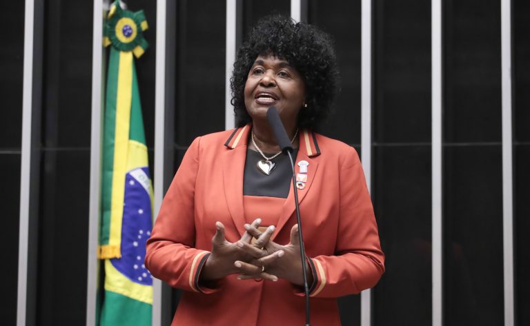  Bancada feminina seleciona projetos prioritários para 2025 e espera votá-los em março