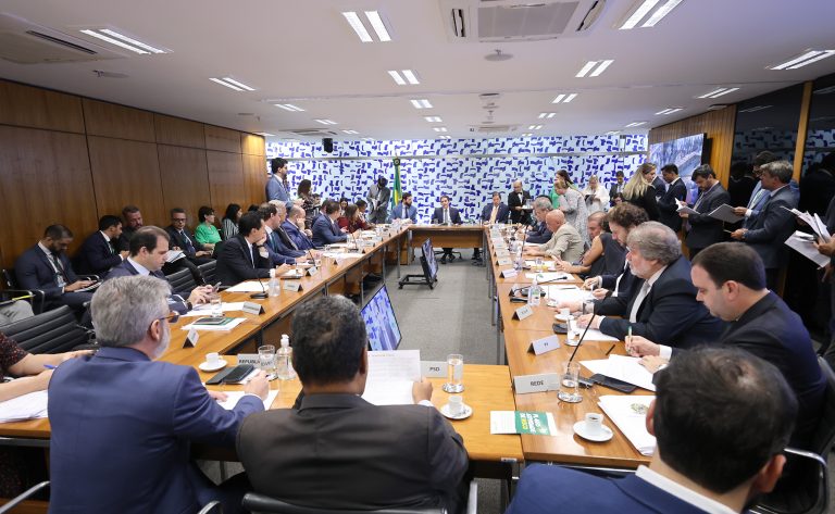  Líderes decidem votar projetos da bancada feminina