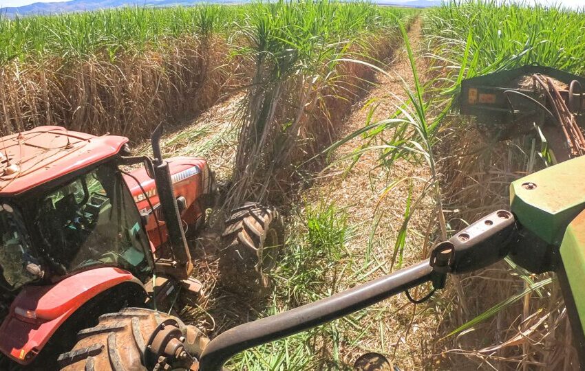  Governo decide aumento da mistura de etanol na gasolina para 30%