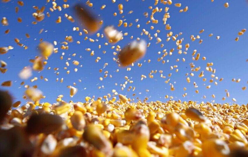  Aumento nos impostos ameaça investimentos no agro e pode travar crescimento do setor