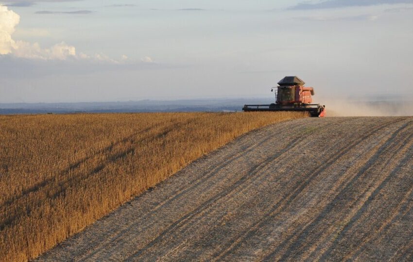  Agro no fogo cruzado: guerra entre Israel e Irã afeta a produção brasileira