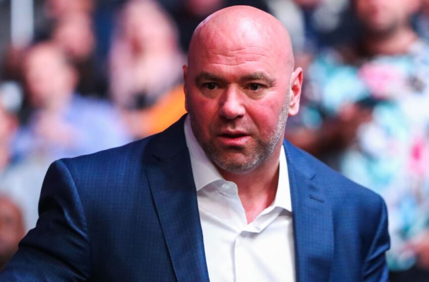  UFC contrata nome gigante do mundo das artes marciais