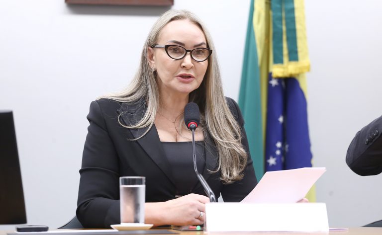  Daniela Reinehr é eleita presidente da Comissão de Turismo e anuncia plano de competitividade