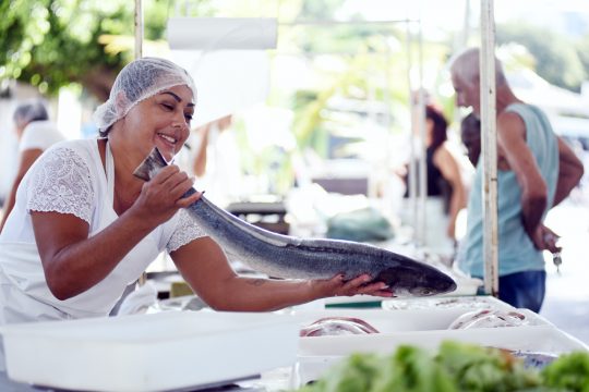  Feira da Agricultura Familiar e do Pescado de Campos acontece nos dias 2 e 3 de abril