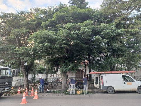  Galhos, rede elétrica e riscos