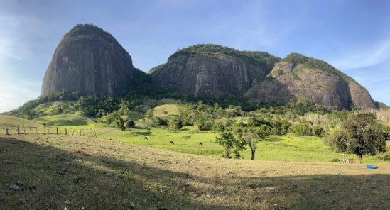  Cientistas da UENF descobrem nova espécie arbórea em Morro do Coco