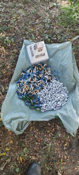  Polícia encontra tonel enterrado com mais de 800 pinos de cocaína em área de mata em Campos