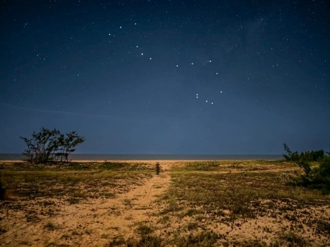  Parque Estadual da Lagoa do Açu pode virar ponto internacional para observar estrelas