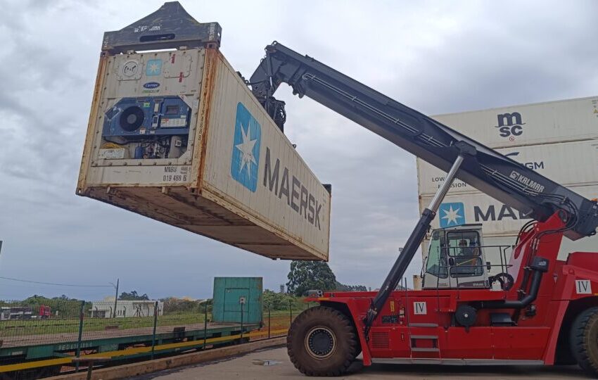  Ásia além da China ganha tração nas exportações das cooperativas